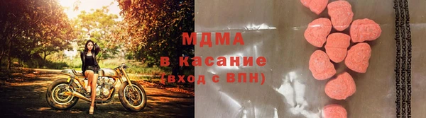 не бодяженный Бородино