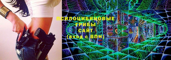 не бодяженный Бородино