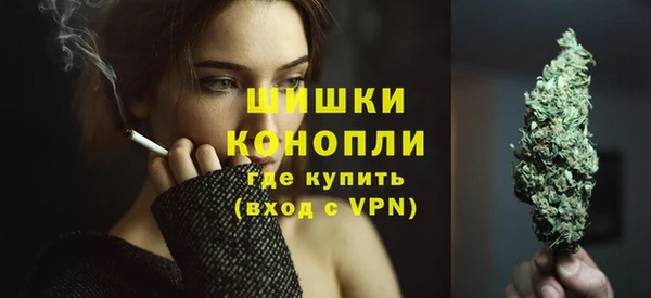 мдпв Бронницы