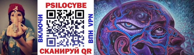 Галлюциногенные грибы Psilocybe  как найти закладки  Моршанск 