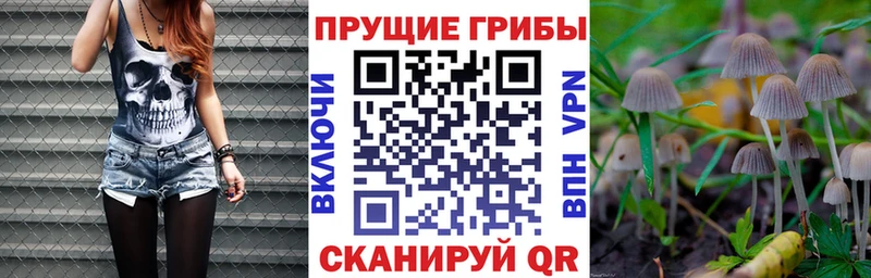 Галлюциногенные грибы Cubensis Моршанск